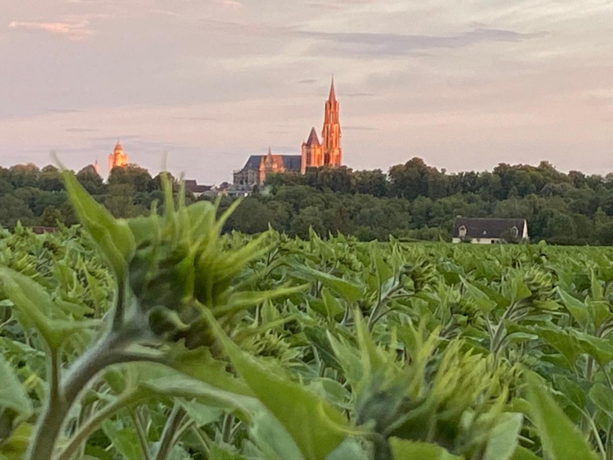 Maison De Campagne By La Boite En Plus Senlis  Exteriér fotografie
